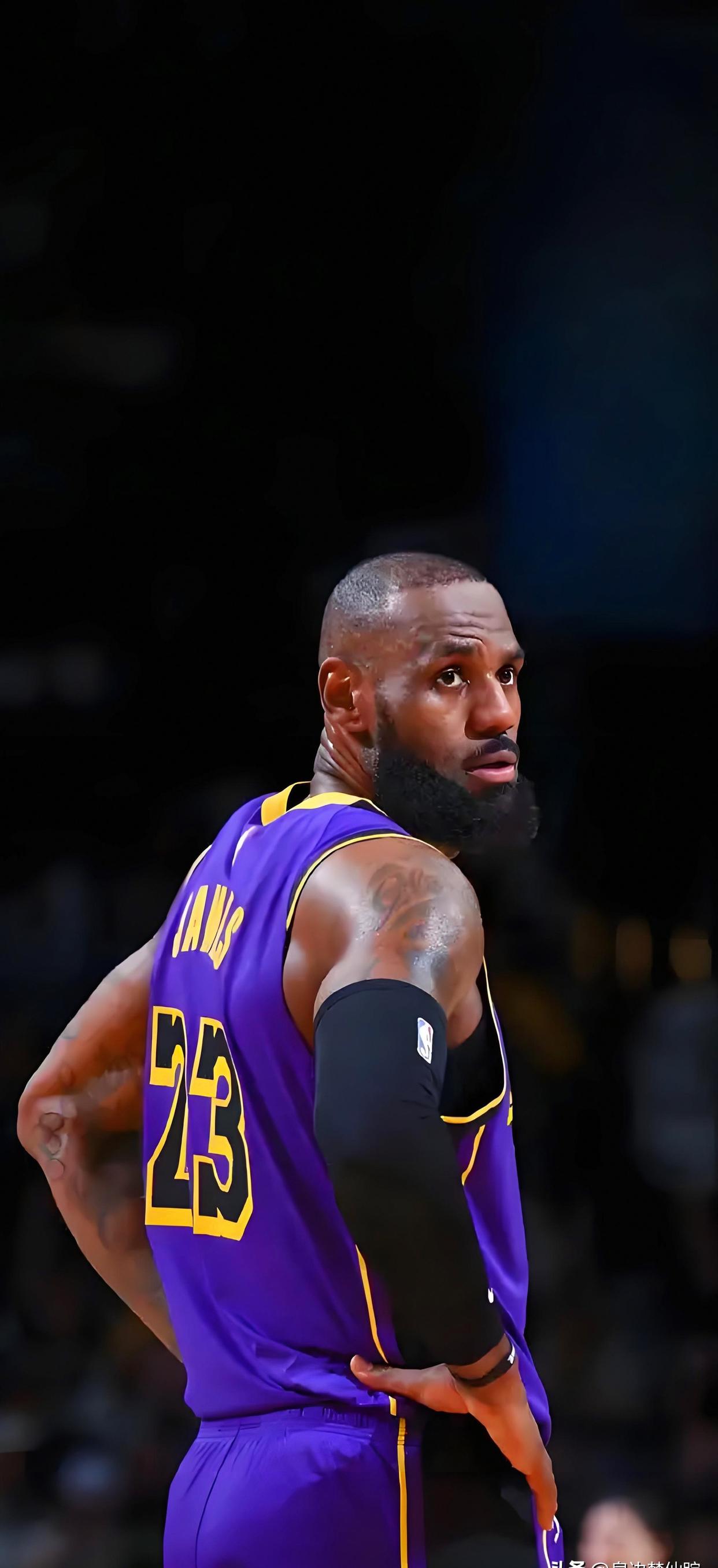 海星体育-包含詹姆斯迎来十二赛季高光表现，塞尔维亚队球迷沸腾！的词条